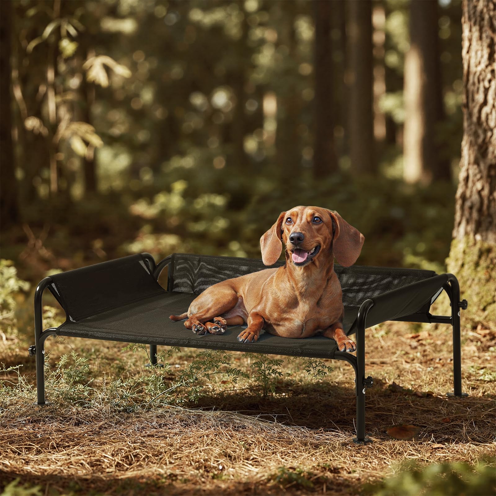 Gardner Pet Letto Rialzato per Cani Taglia Grande e Media, Brandina Traspirante da Esterno e Interno, Cuccia Estiva Resistente ai Graffi per Cani, Struttura in Metallo Robusta-(Nero, S)