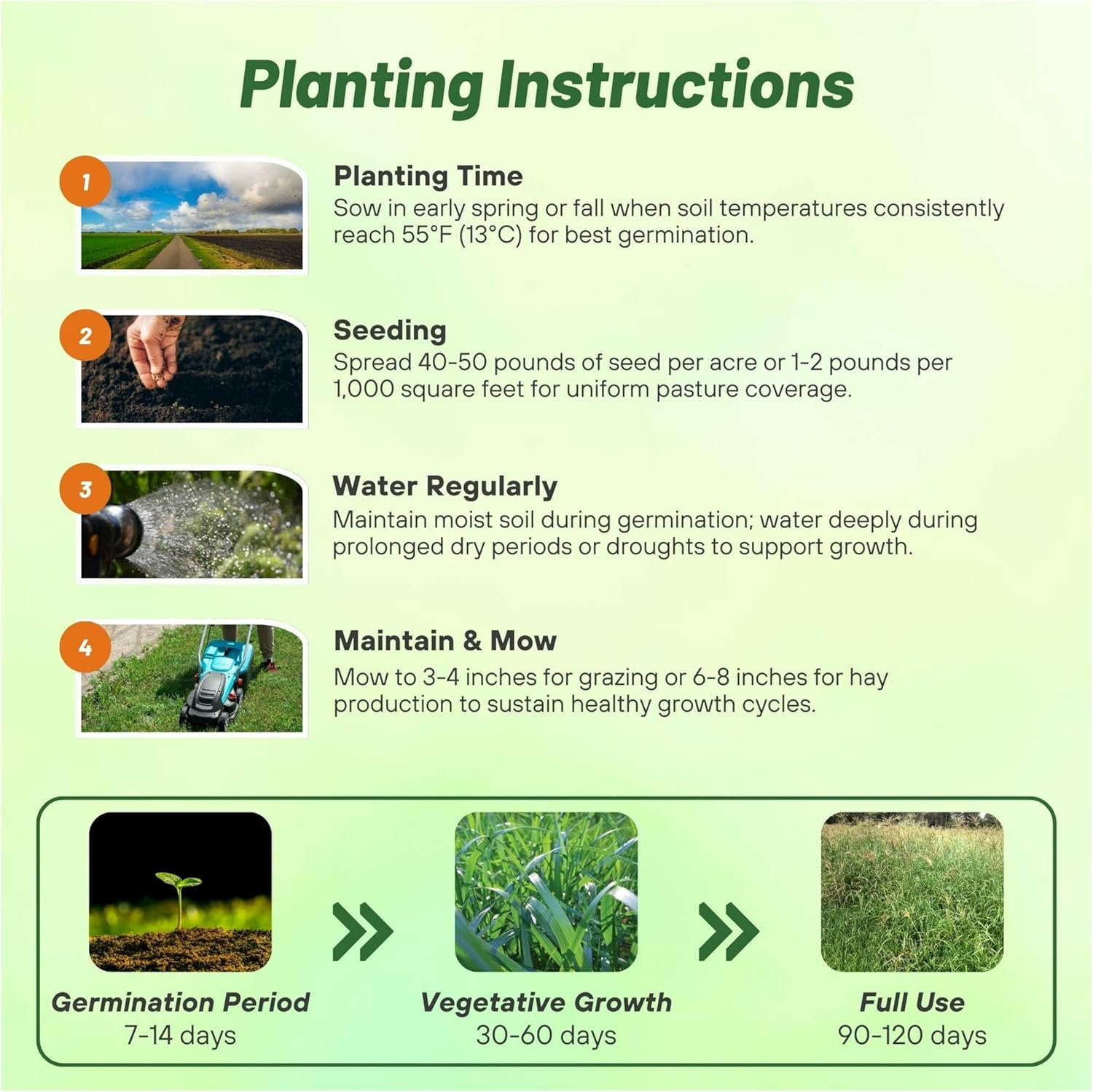 Outsidepride Horse Choice Pasture & Livestock Grass Seed Mix - 25 Lbs Perennial, Drought Tolerant, Cold Hardy, & High Yield Lawn Grass Seeds for Grazing, Hay, Silage, & Greenchop