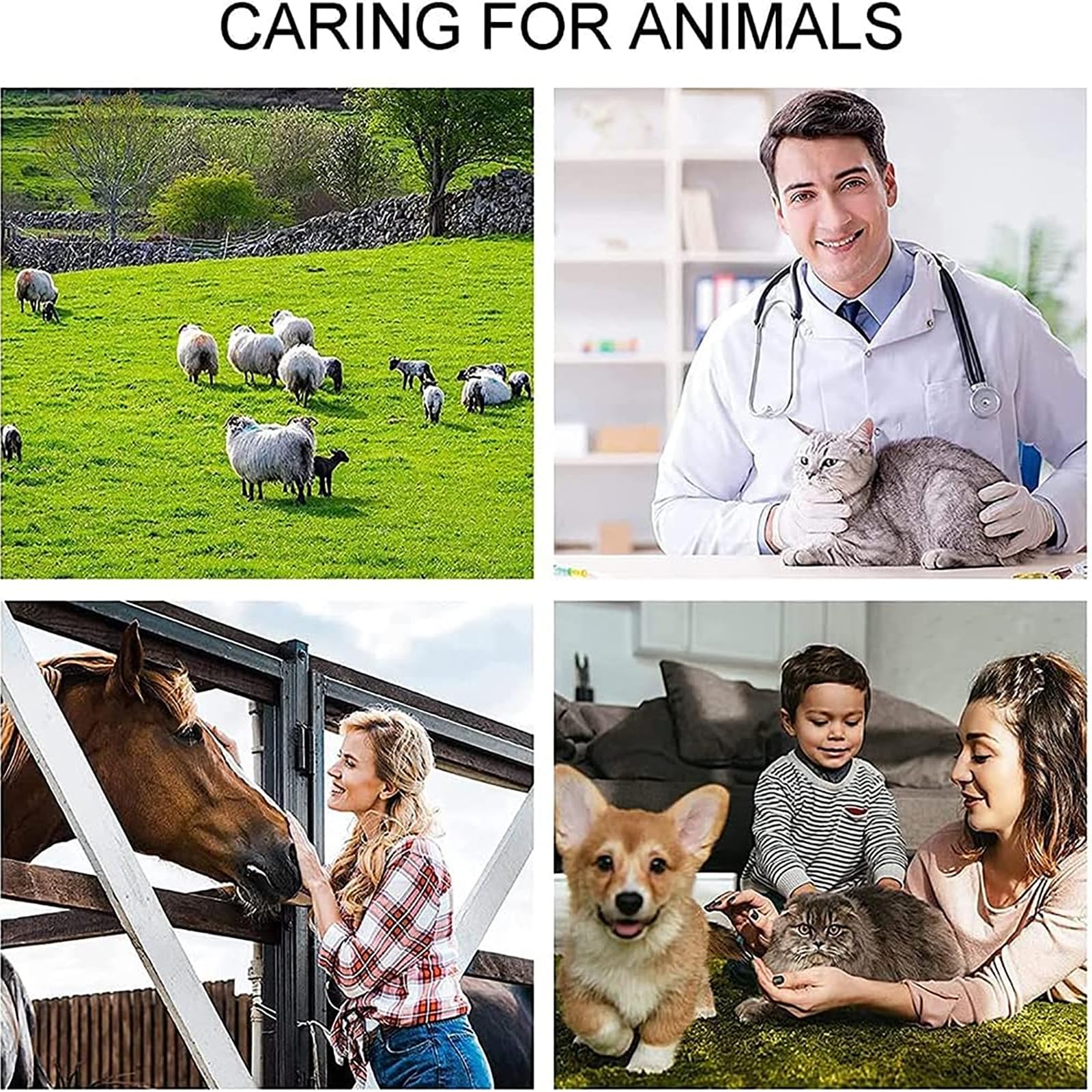 Scannerveterinario a Ultrasuoni A,Tester Gravidanzaveterinaria a Ultrasuoni con Sonda Impermeabile a Ultrasuoni a 360° E Promemoria Sonoro,rilevamento Rapido5S,per Suini,Pecore,Mucche,Cavalli