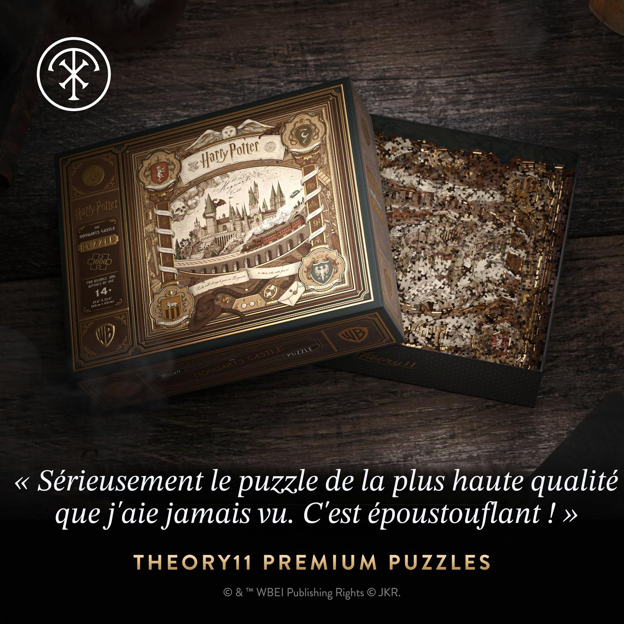 Theory11 Puzzle Harry Potter – 1 000 Pièces – Marchandises et Objets de Collection sous Licence Officielle – Ajustement précis et qualité supérieure – Puzzle intermédiaire
