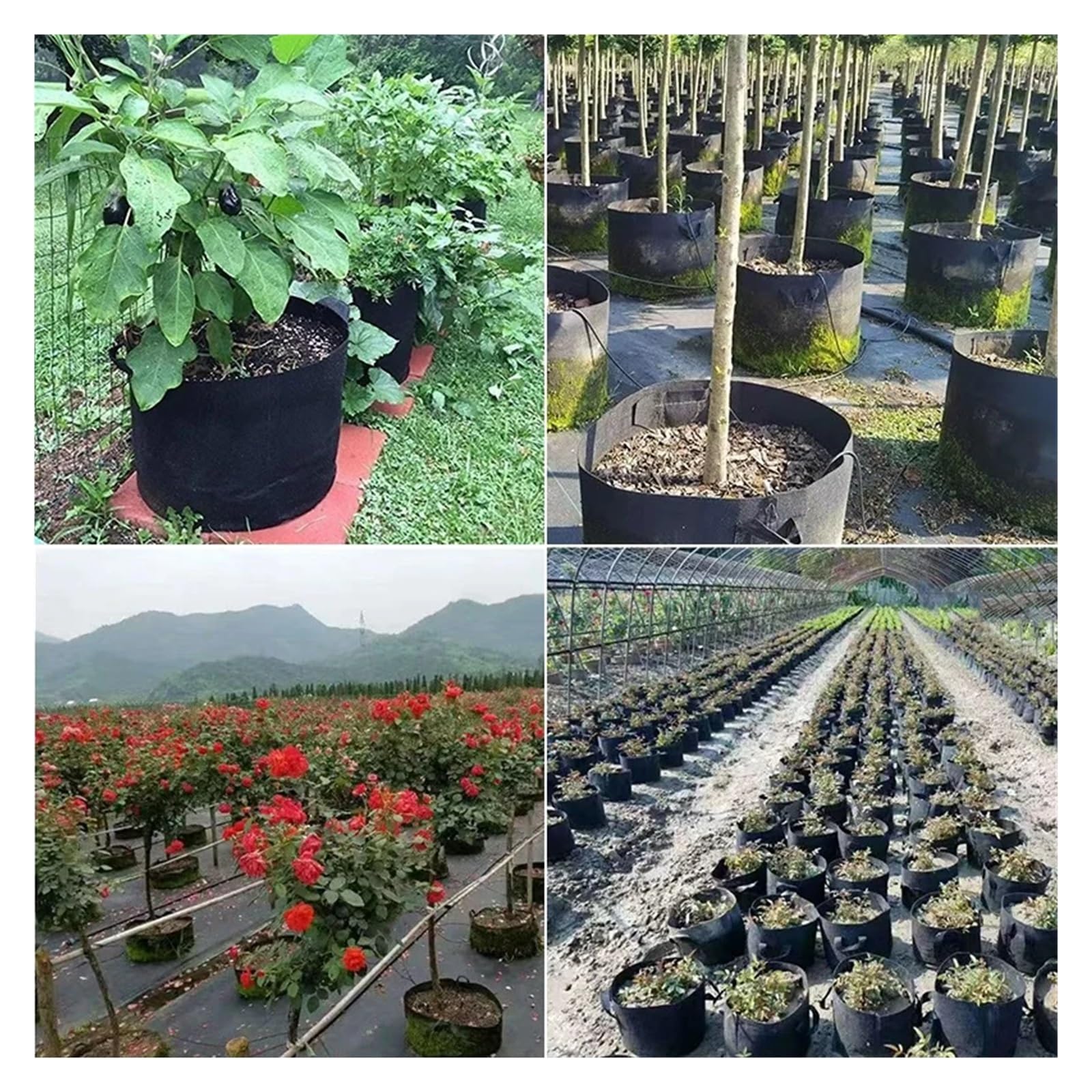 Bolsas de Cultivo 5PCS Vegetable Grow Bags Felt Planting Bag Potato Tomato Seeding Pots Flower Nursery Accessories(S8 30Gallon)