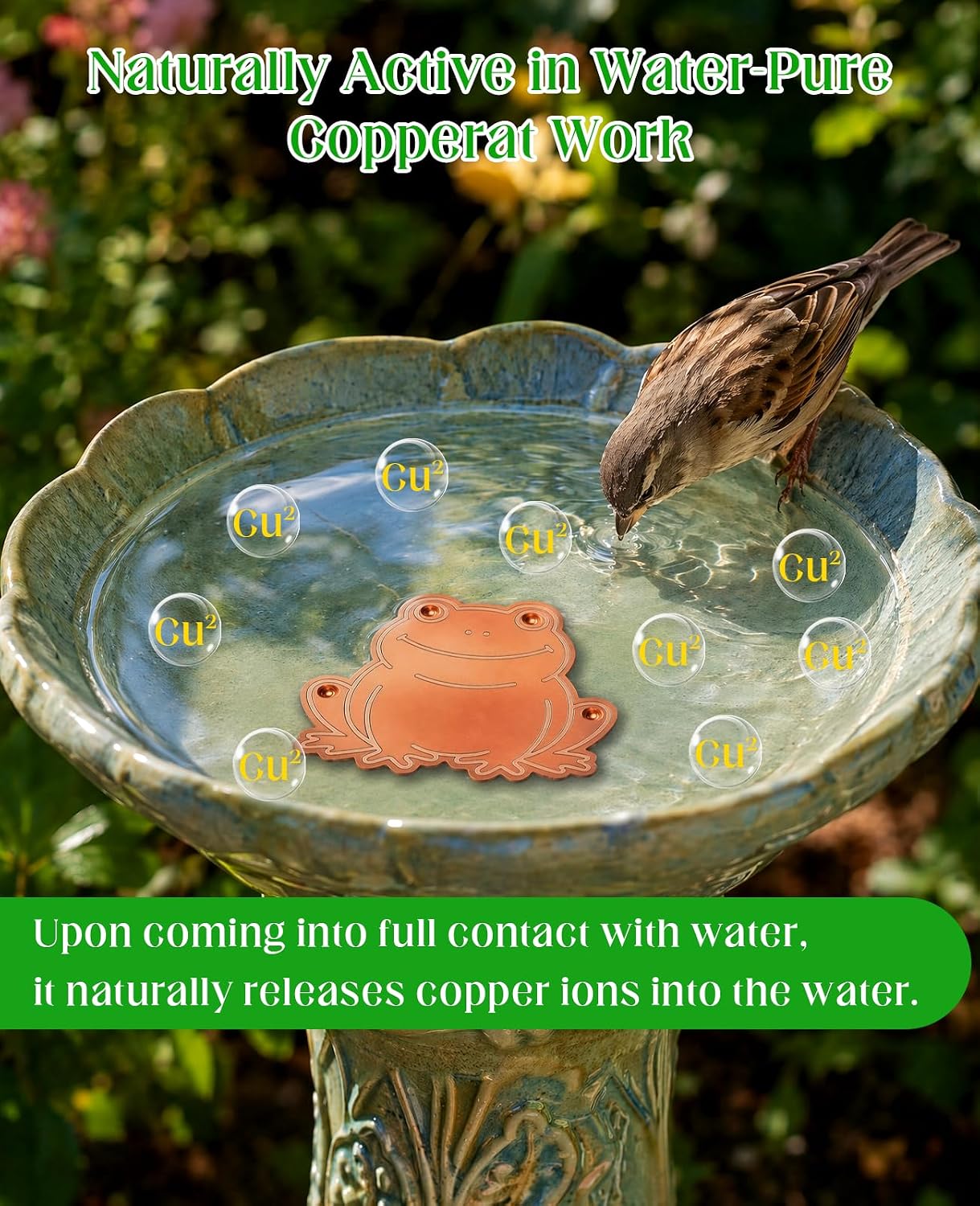 2 Pcs Copper Bird Bath Discs for Cleaner, 99.9% Pure Copper Four-Point Support Design Frog Shaped Purification Disk Universal Fit for Outdoor Birdbaths image 2