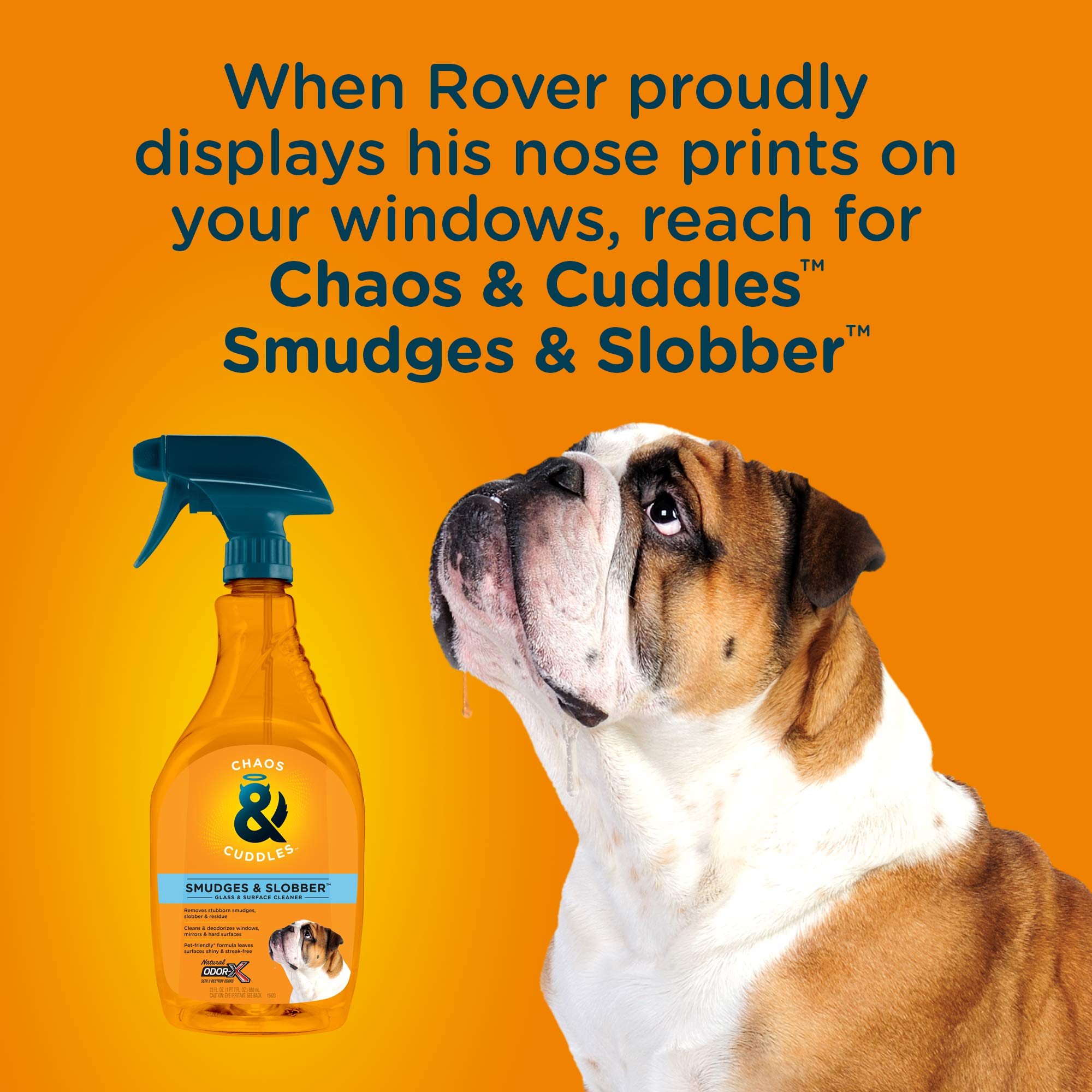 How Do You Clean Dog Saliva Off Glass