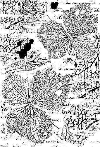 Creative Expressions Nature's Fragments - Sello de goma precortado de 4 x 6 pulgadas, gris, 4 x 6 pulgadas