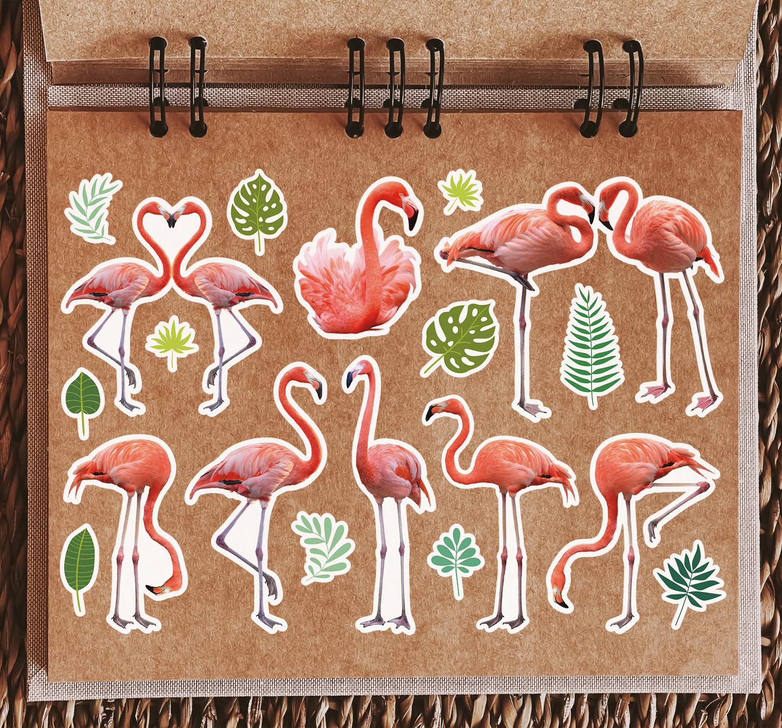 Motif De Flamant Rose Oiseaux Et Plantes Exotiques Illustration Pour Les Projets Gm1328644345 412632336