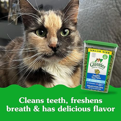 Miniatura 3 de FELINE GREENIES - Golosinas naturales para el cuidado dental para gatos sabor a atún todos los tamaños de bolsa