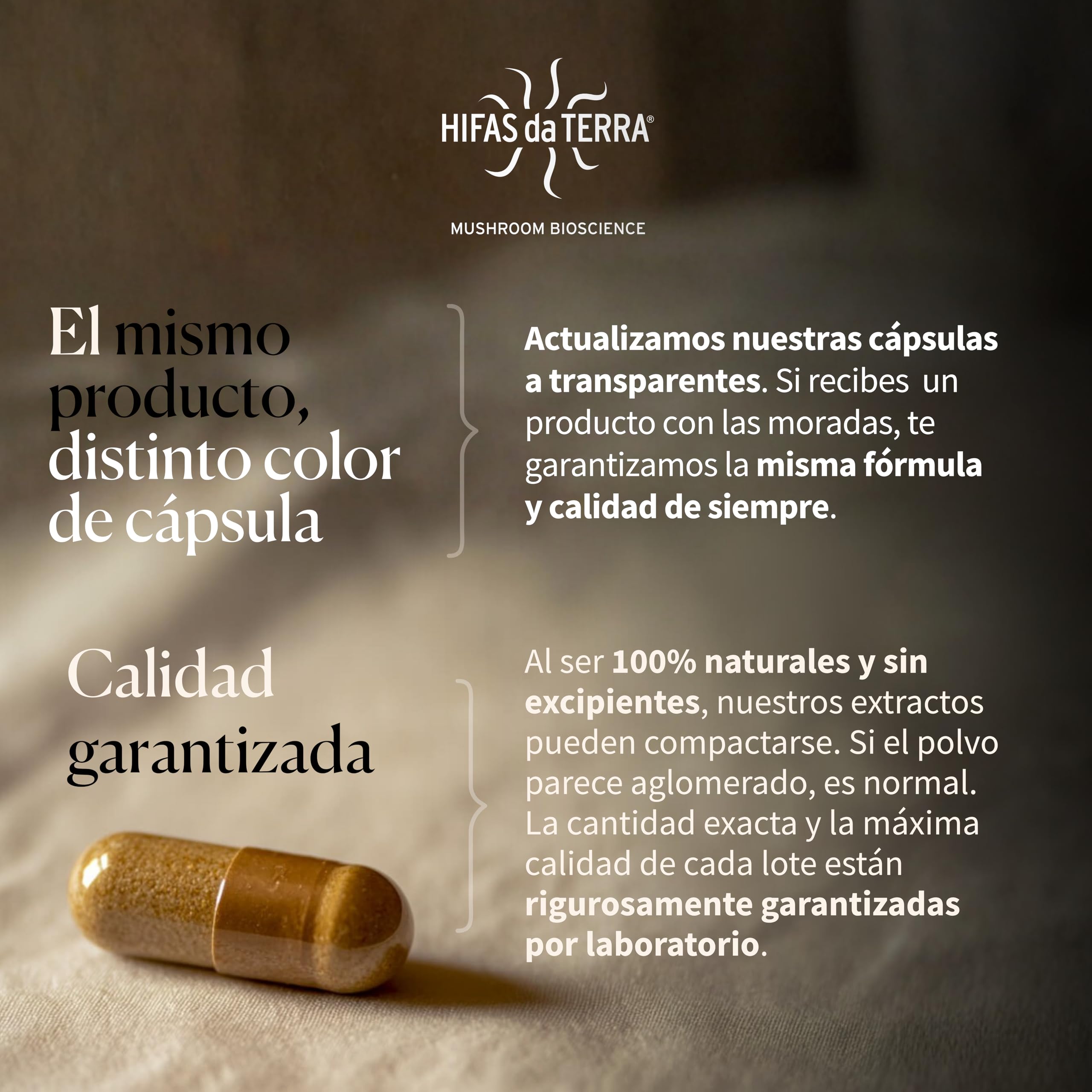 HIFAS DA TERRA - HIFAS-Equilibrium Extractos de Hongos Puros de Reishi, Melena de León y Cordyceps para Equilibrar el Bienestar Físico y Emocional - Bote 60 Cápsulas