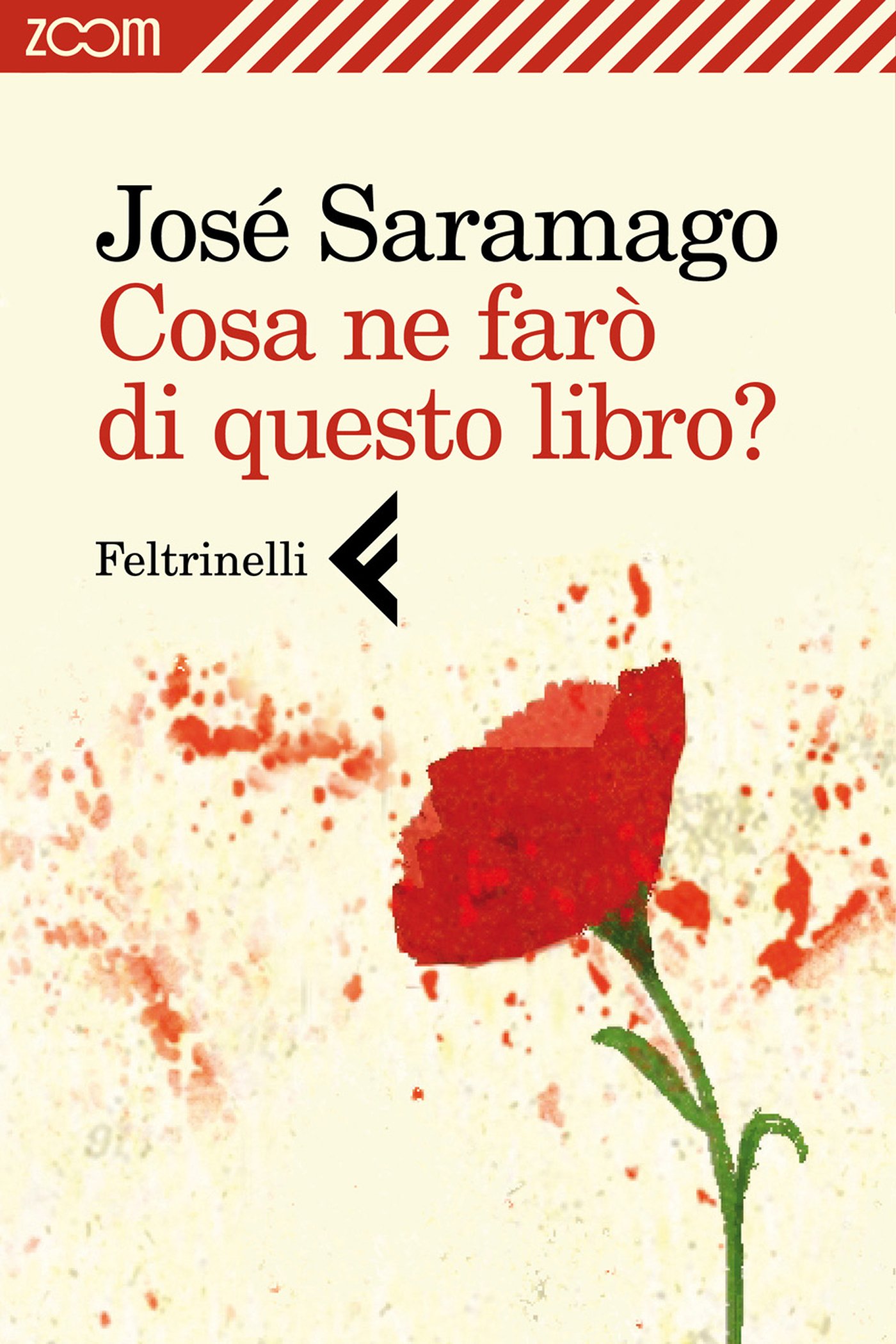 Cosa ne farò di questo libro? (Italian Edition)