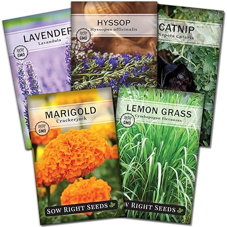 Sow Right Seeds Cat Nip Plants Live (5 Packets)