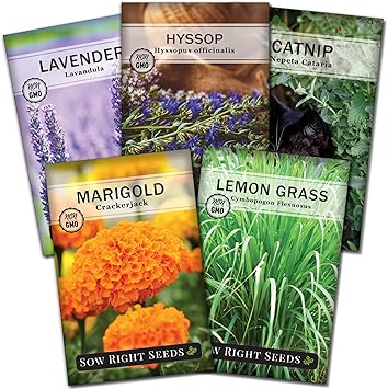 Sow Right Seeds - Insect & Pest Repellent Seed Collection for Planting - Lavender, Catnip, Marigold, Hyssop & Lemon Grass - 5 Packets with Instructions for Home Garden - Natural Pest Solution