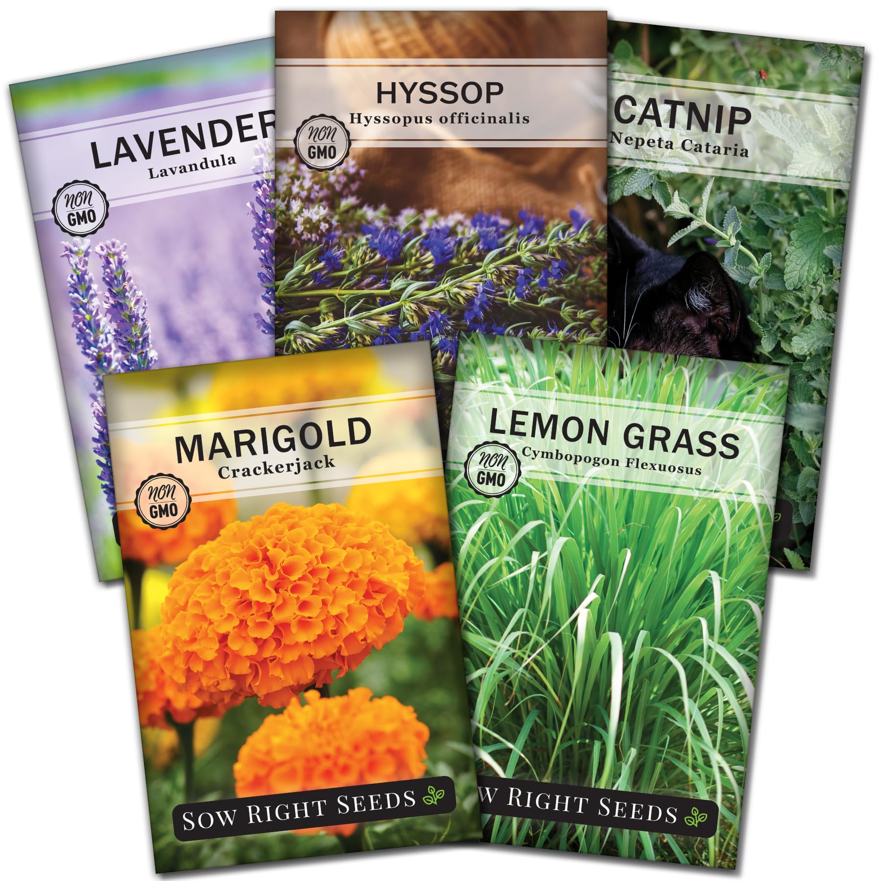 Sow Right Seeds - Insect & Pest Repellent Seed Collection for Planting - Lavender, Catnip, Marigold, Hyssop & Lemon Grass - 5 Packets with