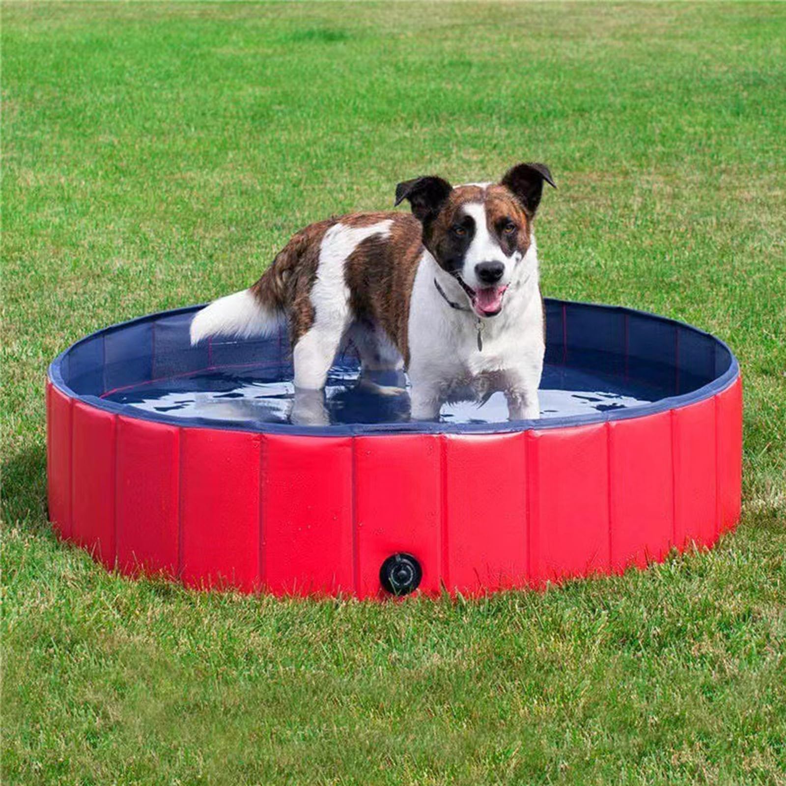 Foldable Dog Swimming Pool,Pet Outdoor Portable Bath Tub with Drain for Dogs and Cats_L(Red)