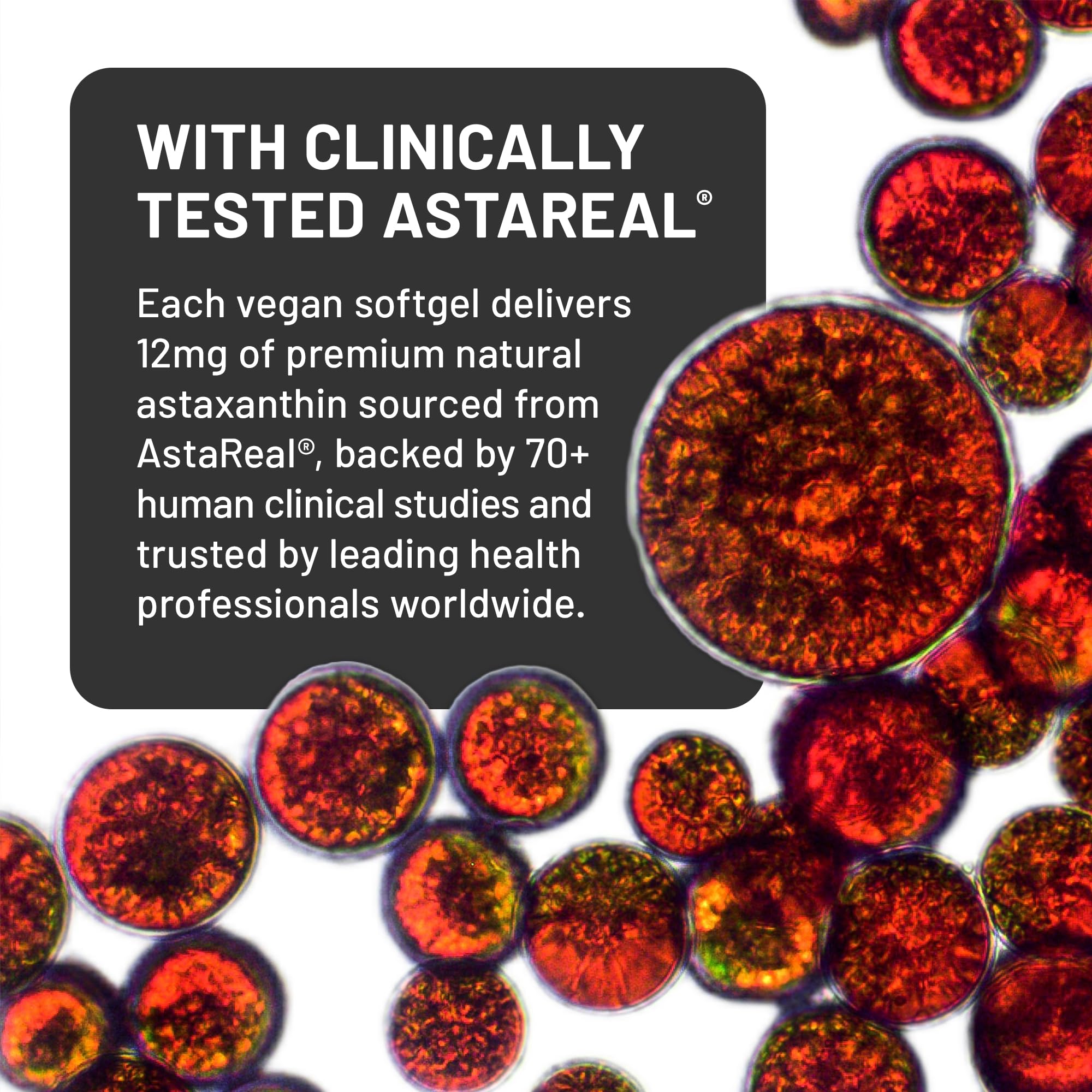 NatureWise Triple Strength Astaxanthin 12mg with AstaReal® - Vegan Antioxidant Supplement with Organic Coconut Oil - NSF Certified Gluten Free, 60 Softgels[60 Day Supply] — Amazon image 2