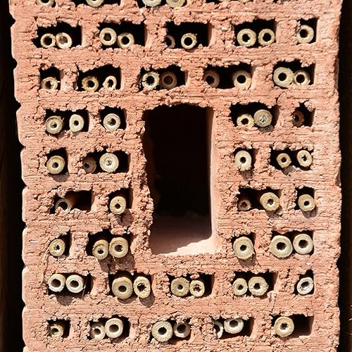 Miniatura 7 de Tubos Mason Bee Tubes Mason Bee House Tubes 100 tubos de cartón de abeja de 6 pulgadas, suministros de abeja, tubos de repuesto para apicultor para