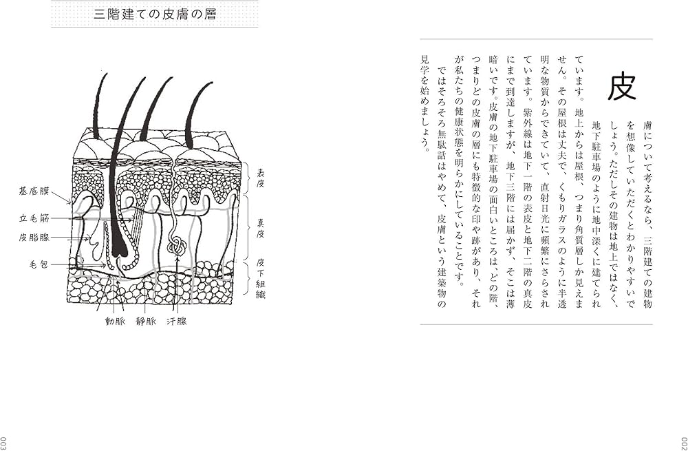 皮膚の秘密 最大の臓器が、身体と心の内を映し出す | ヤエル・アドラー
