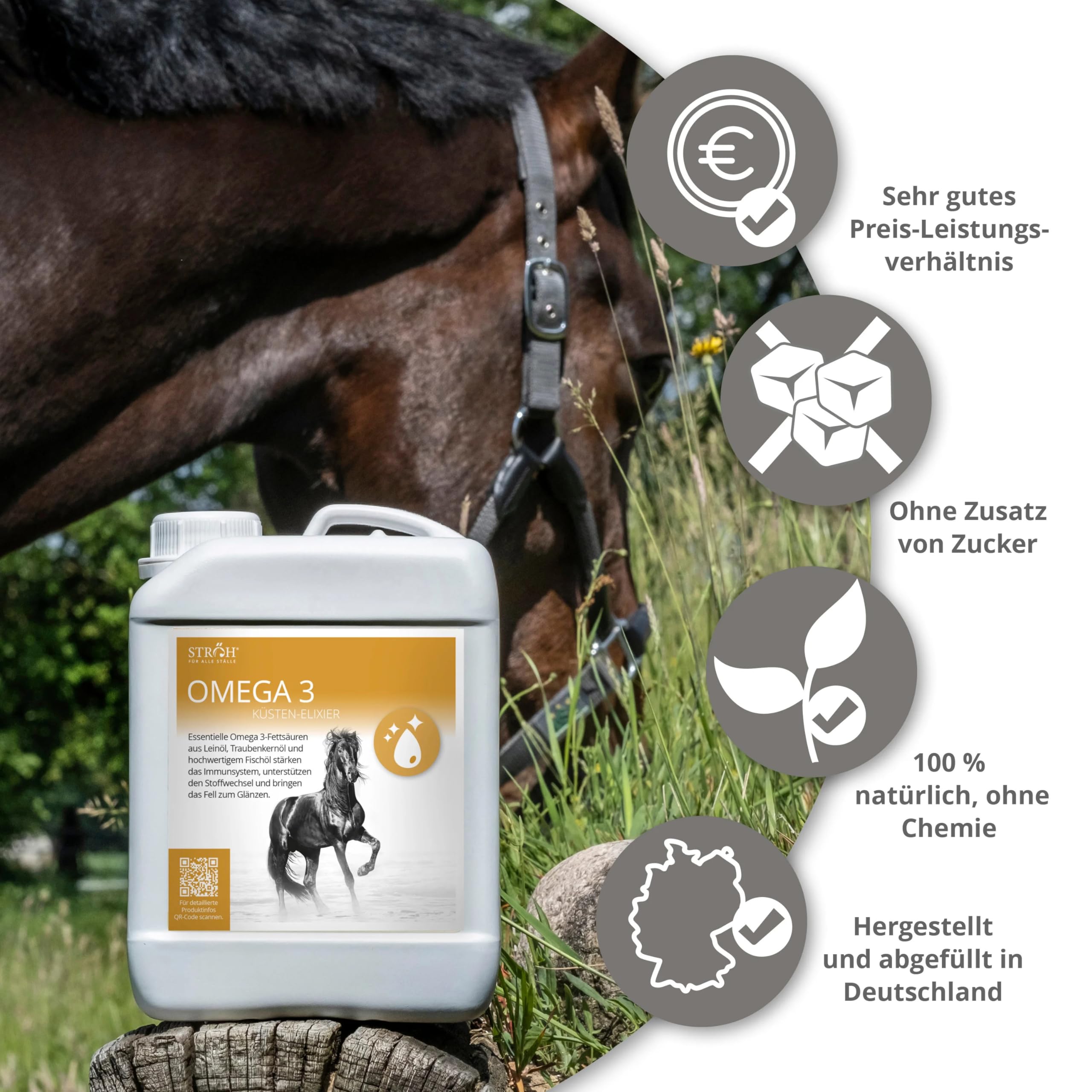 STRÖH Omega 3" Öl (2,5 L Kanister) für Pferde • Omega Fettsäuren aus Leinöl, Traubenkernöl & Fischöl