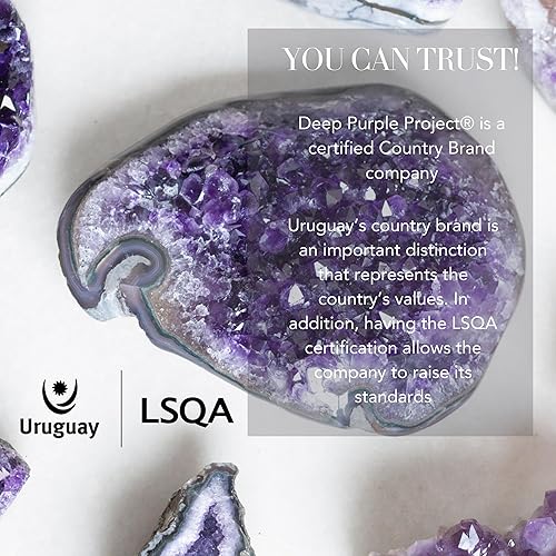 Miniatura 5 de Deep Purple Project Geoda amatista grande 2 a 25 libras cristales de piedras de roca de Uruguay