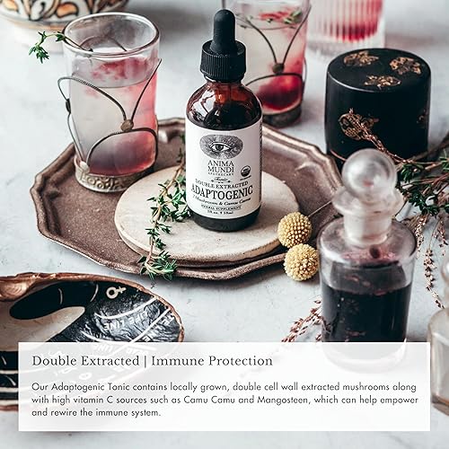 Miniatura 4 de Anima Mundi Apothecary Adaptogenic 7 gotas de hongos con extractos orgánicos de hongos Tintura líquida de apoyo inmunológico con Reishi, melena de