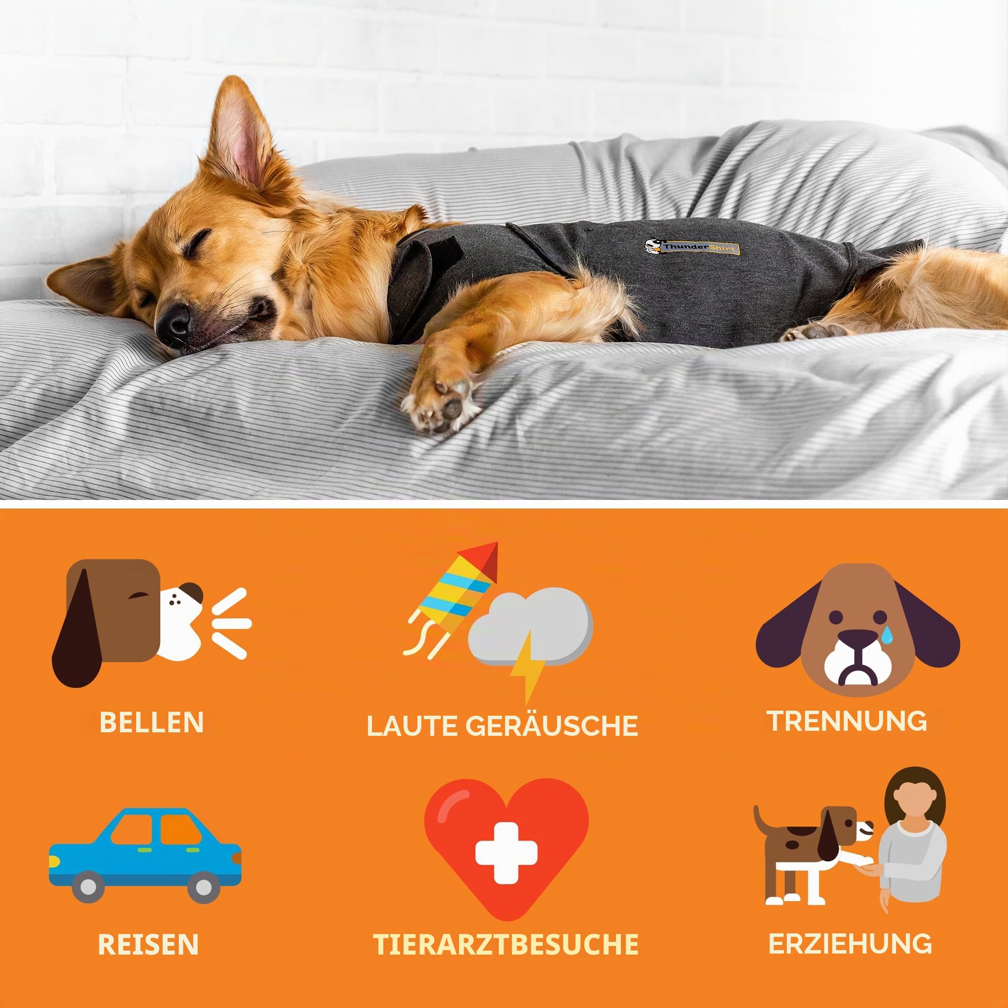 Thundershirt: Beruhigungsweste für Hunde - Grau - Größe L
