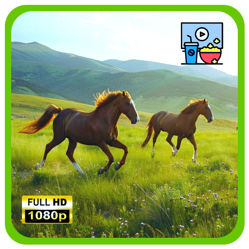 Wildpferdewiesen – Freie Pferde & beruhigende Naturmusik