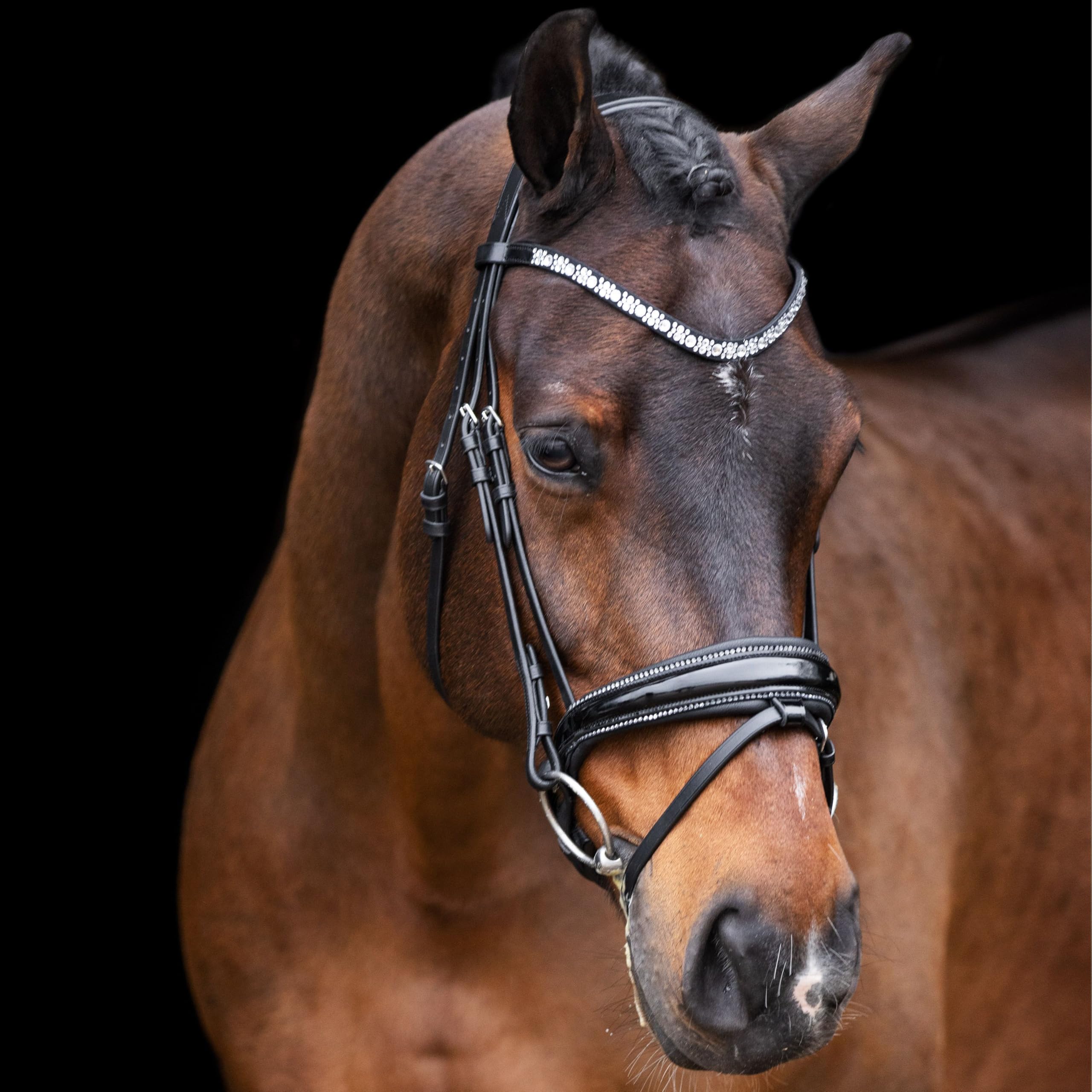 Imperial Riding IRH Olympia Bridle without Reins, Anatomical Headpiece, Calfskin Padding, Forehead & Noseband with Rhinestones, Premium Buffalo Leather, Stainless Steel Fittings, Black/Silver, Pony
