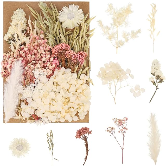 QINREN Natural Dried Flowers, Real Dried Flowers Colorful Mixed Dried Flowers Set for DIY Arts Resin Crafts Candle Jewelry Pendant Making Floral Decorations