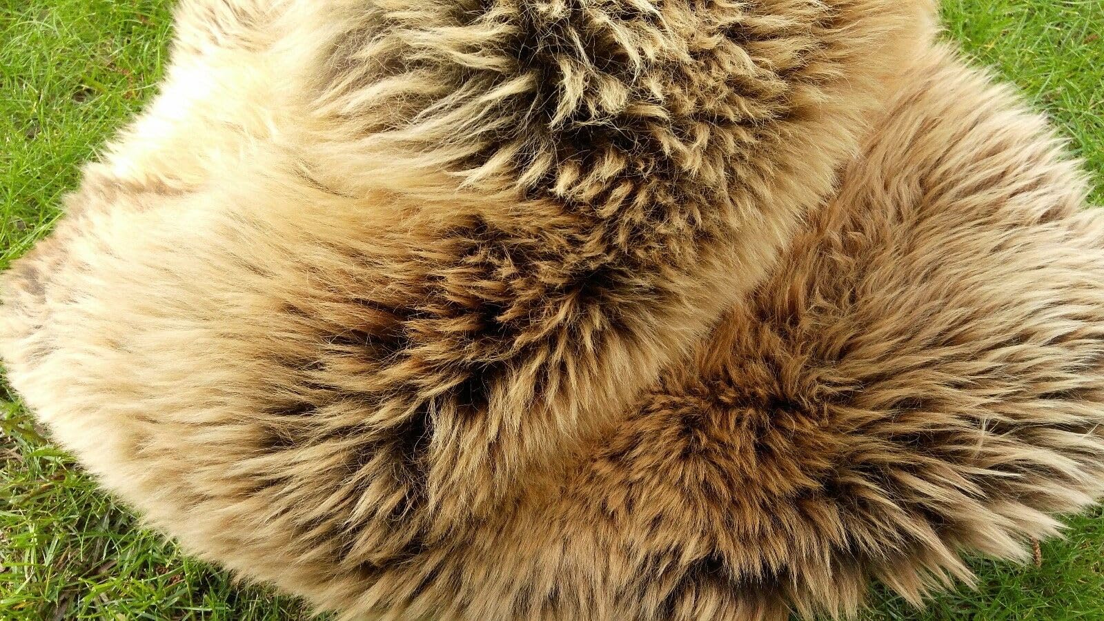 Véritable peau de mouton scandinave - Peau d'agneau tannée - Crème marron - 100 cm