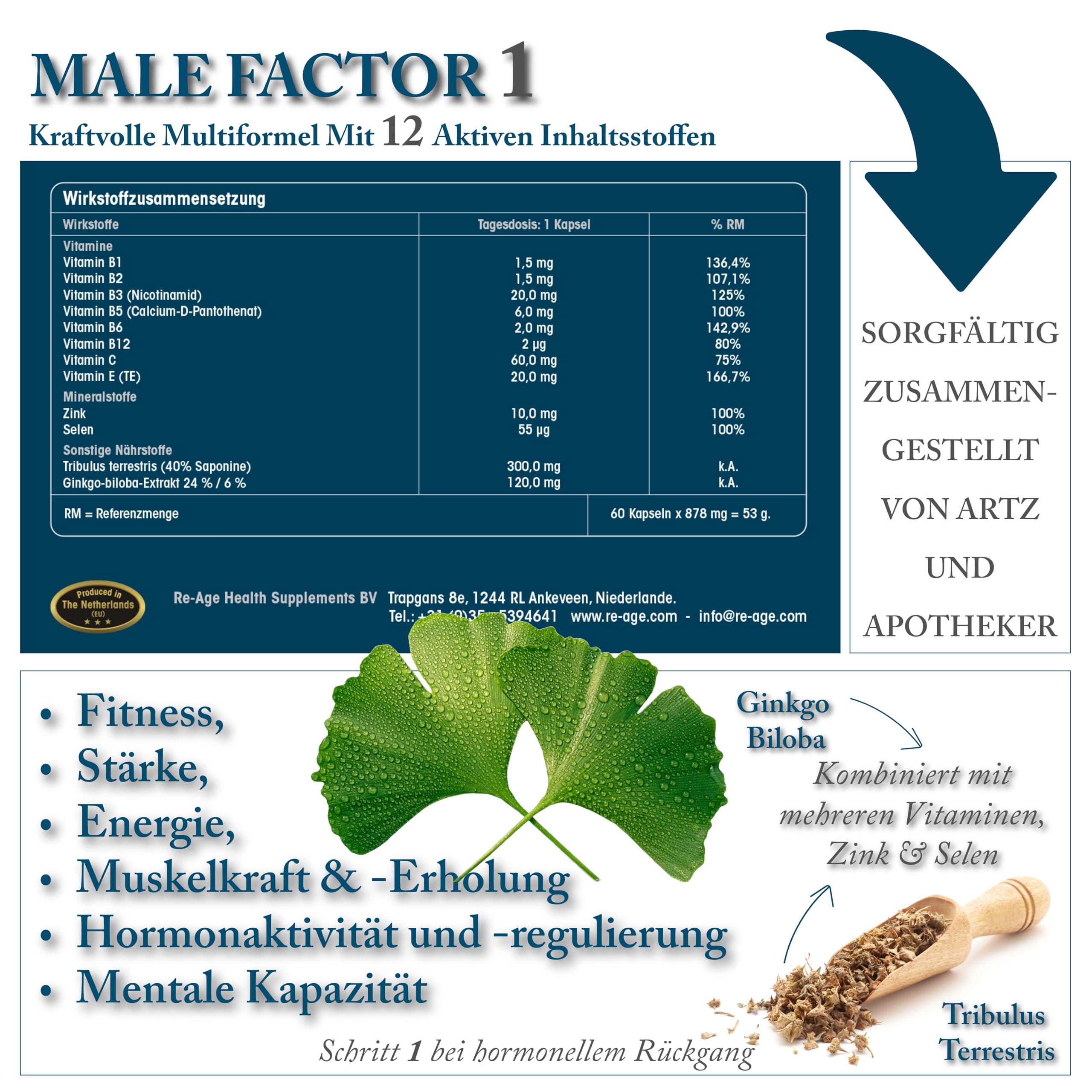 Male Factor 1 für MÄNNER | ZINK und SELEN | 100% natürliche Inhaltsstoffe | Für Muskelwachstum, Kraft & Energie | 60 Kapseln ReAge