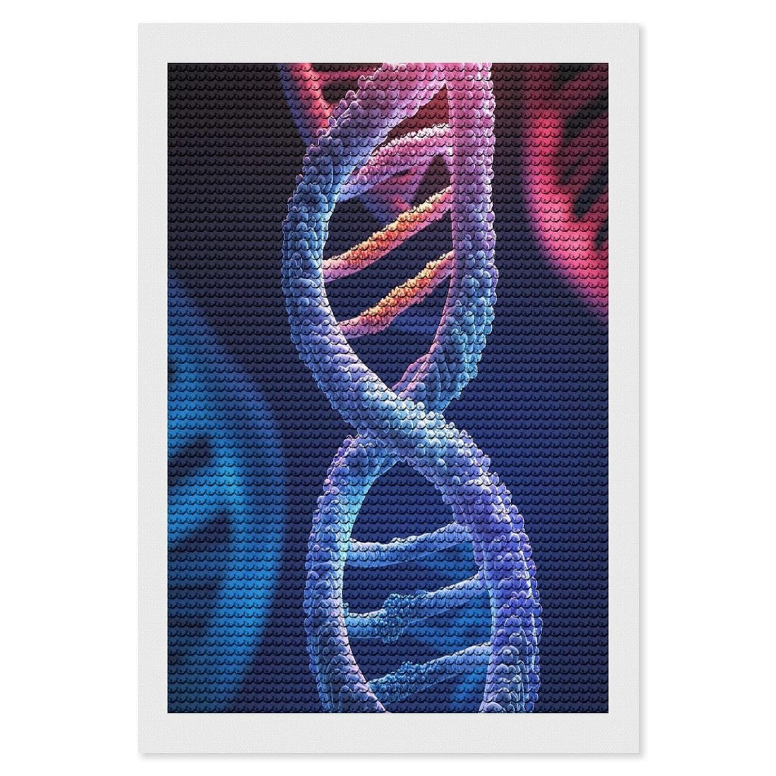 FekiLoot DNA Genetic Helix Diamond Painting Kits for Beginners DIY Diamond Art Kits for Adults Full Drill Round Diamond Dot Gem Art Painting Fun DIY Crafts for Home Kitchen Wall Decor Gift 8"x12"