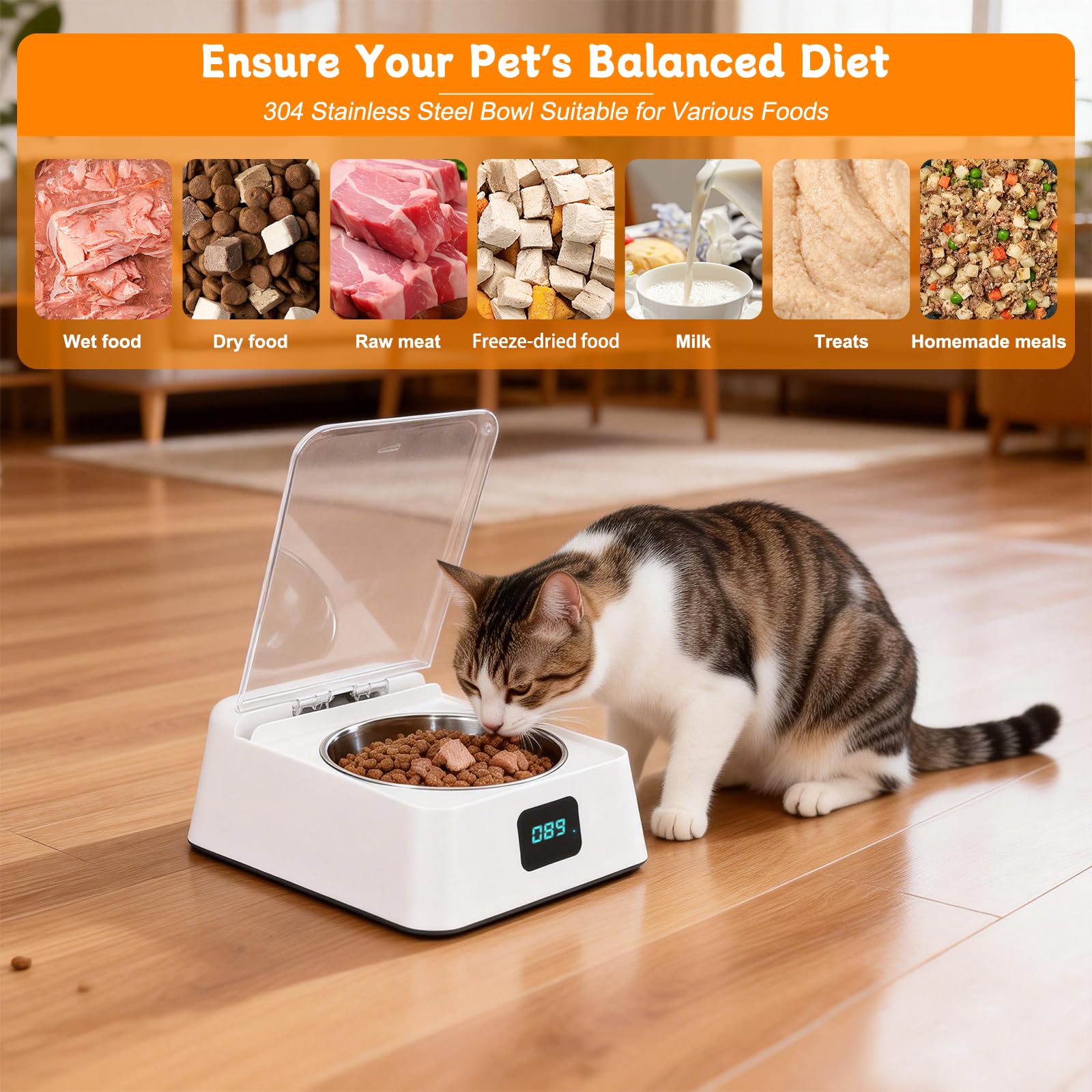 Nassfutterautomat für Katzen, Futterautomat Katze Nassfutter, Automatisch Futternapf mit Bewegungsmelder Deckel, Nassfutterautomat für Kleine/Mittlere Hunde, Katze, Nass und Trocken