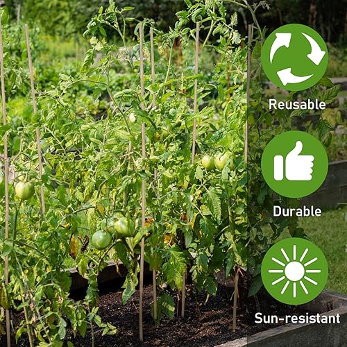 Miniatura 7 de 60 estacas de bambú a granel, estacas naturales para plantas de bambú para jardín, soporta escalada para tomates, frijoles, vegetales y plantas en
