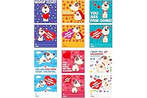 PETCEE Valentines Day Cards for Kids