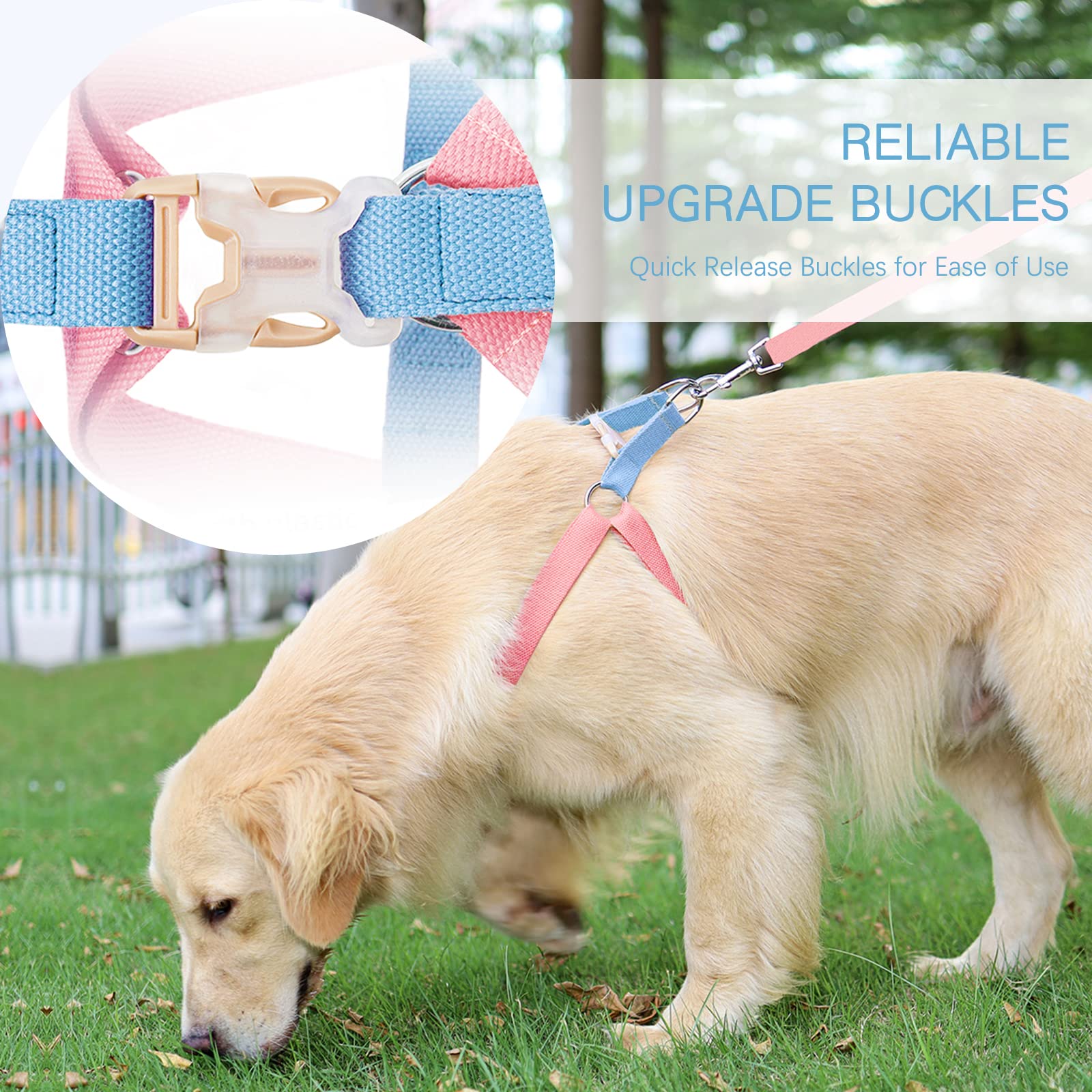 No Pull Hundegeschirr & Leine Set - Step-in Design, Verstellbar, Mit Kotbeutelhalter Für Mittelgroße/große Hunde