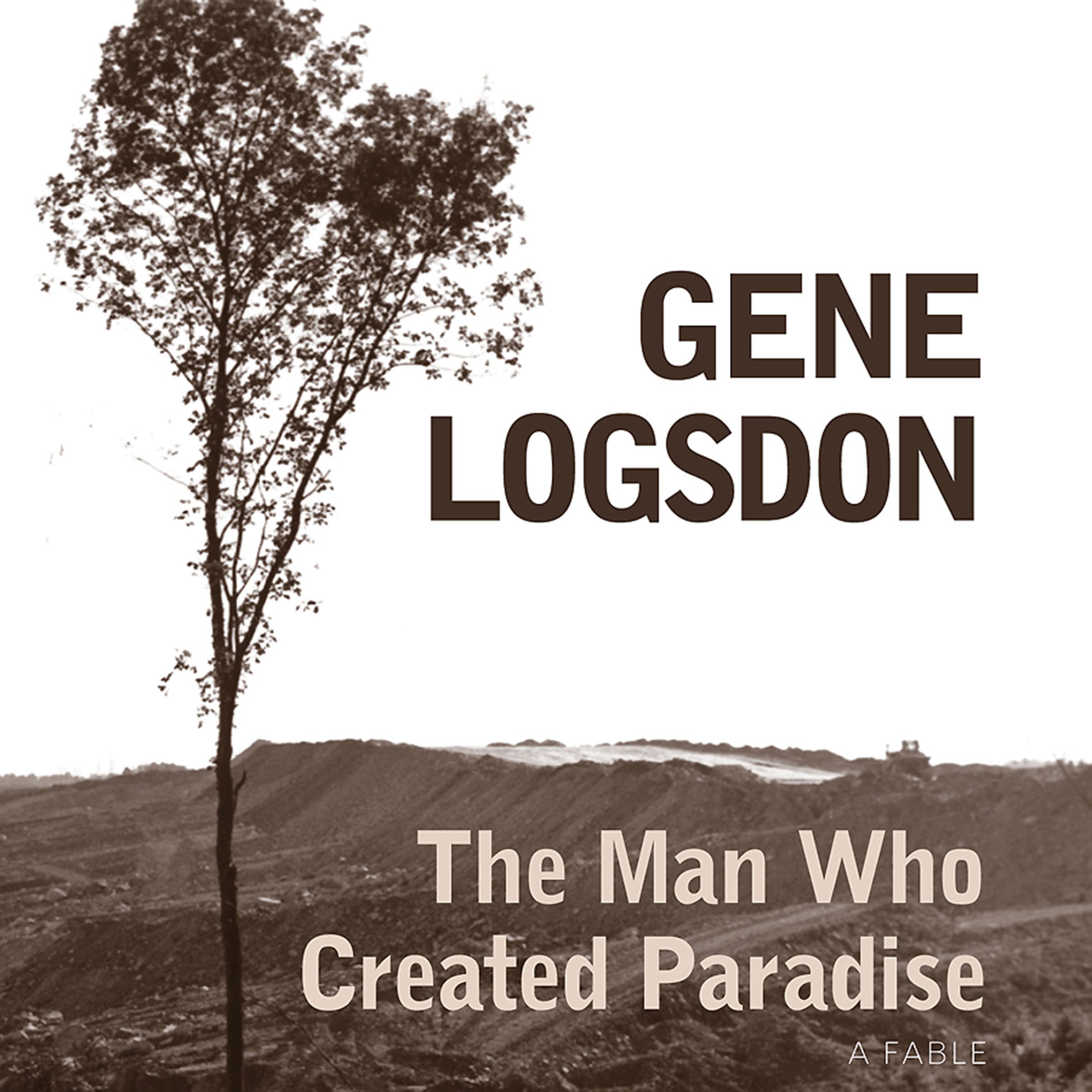 Cover art for The Man Who Created Paradise: A Fable