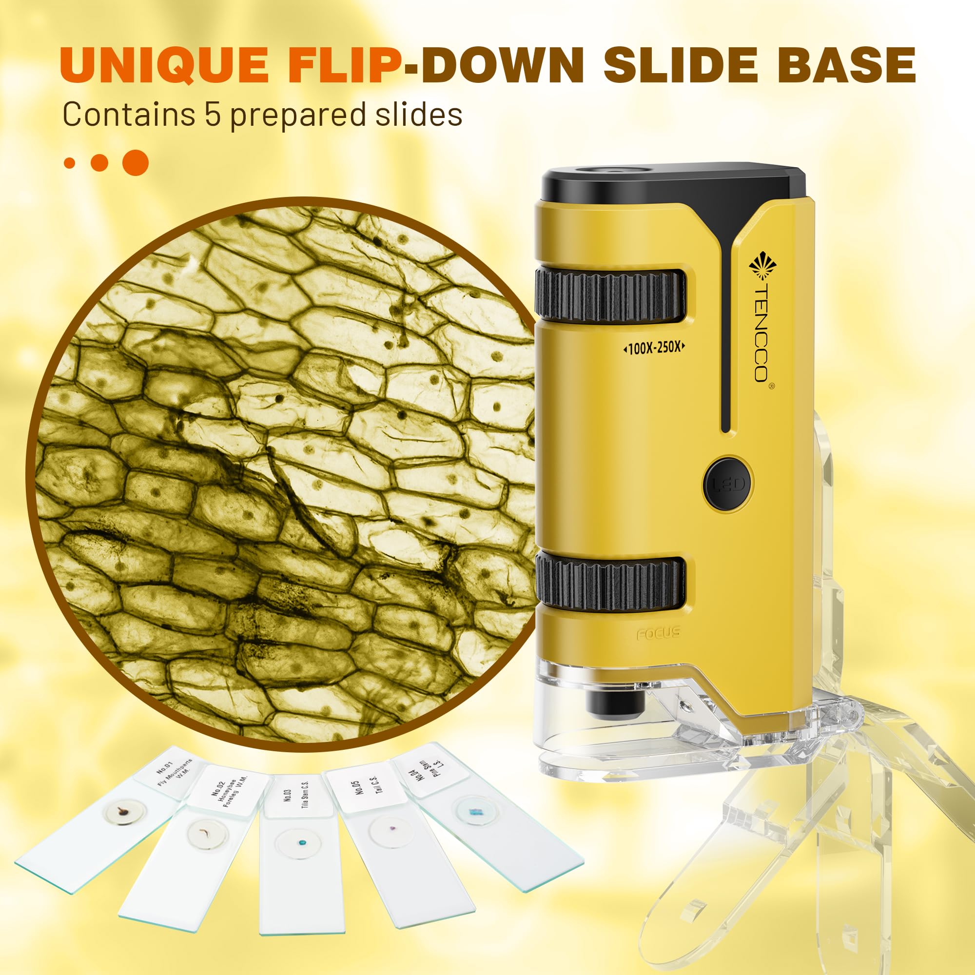 Mini Microscope de Poche 100x-250x pour Enfants Adultes, Microscope Portatif Main, Miniscope Portable pour Enfants Adultes, Scientifique Education, Jaune