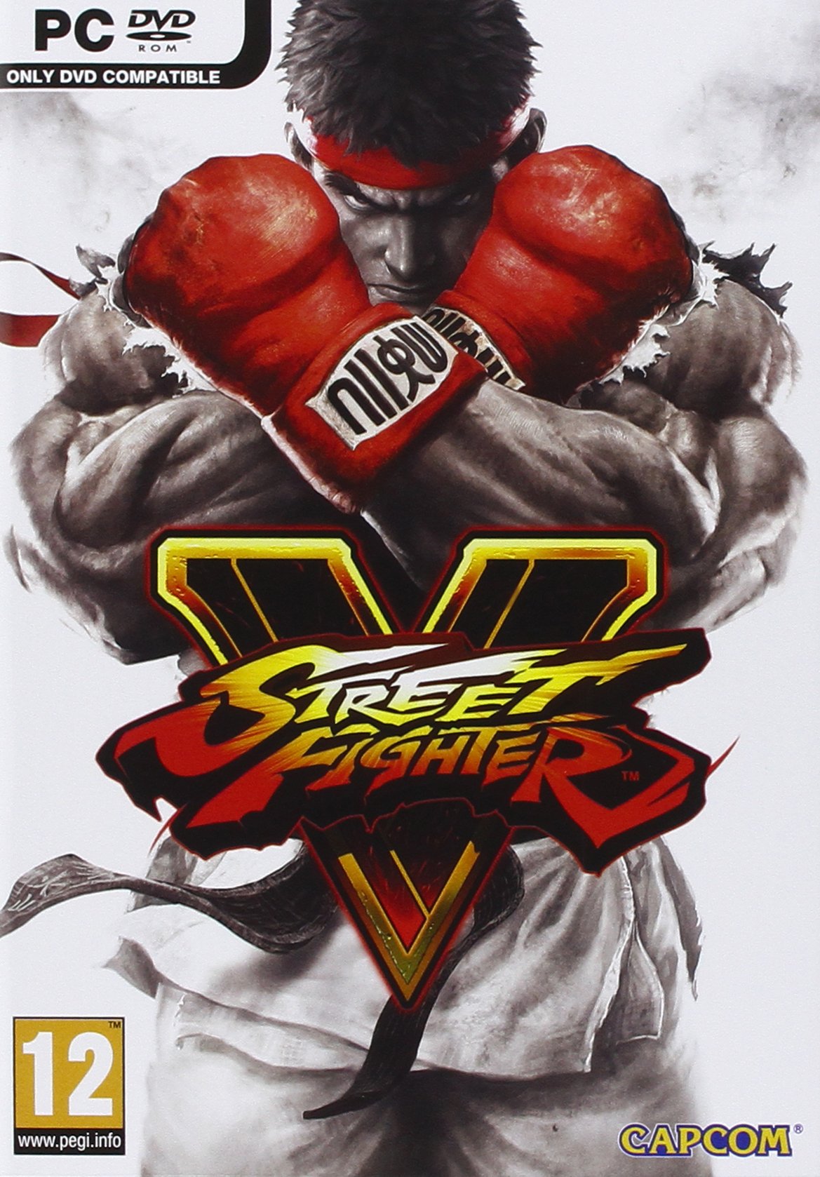 Street Fighter V PC Capcom jeu de combat de référence en édition standard - 8