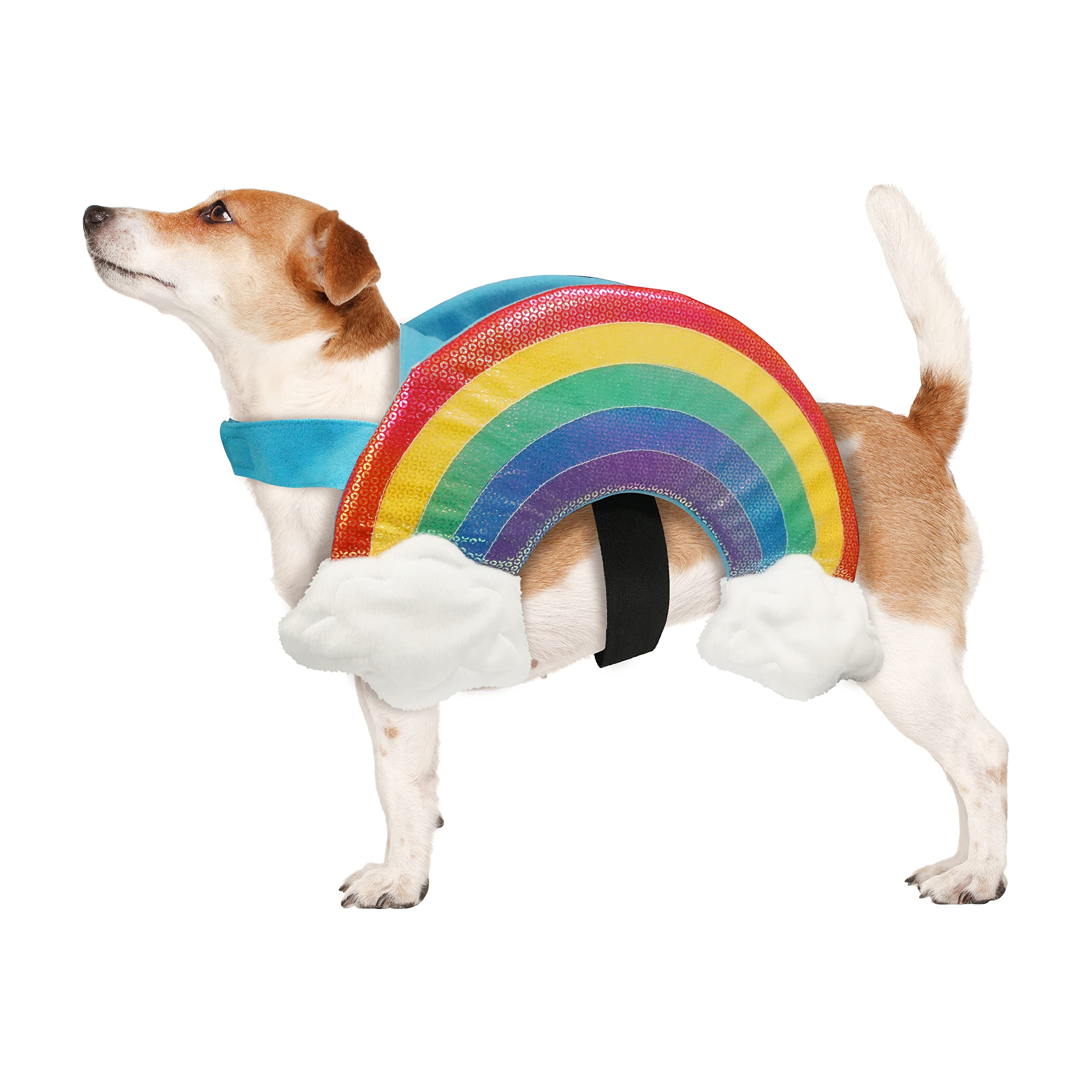 Best Furry Friends Rainbow Dog Costume, Small