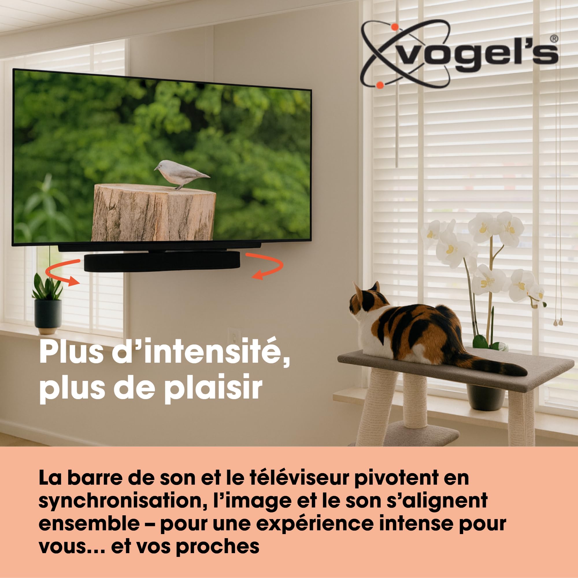 Support Premium Vogel’s pour barres de son Sonos – positionnement parfait pour Arc (Ultra), Beam & Playbar | Convient également à d’autres marques | Idéal en combinaison avec des supports TV pivotants