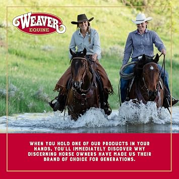 Weaver Equine Rayon 17 Strand Horse Cinch, Anti-Slip Saddle Cinch Girth with Flat Buckle, Western Horse Riding Supplies, Tan/Black