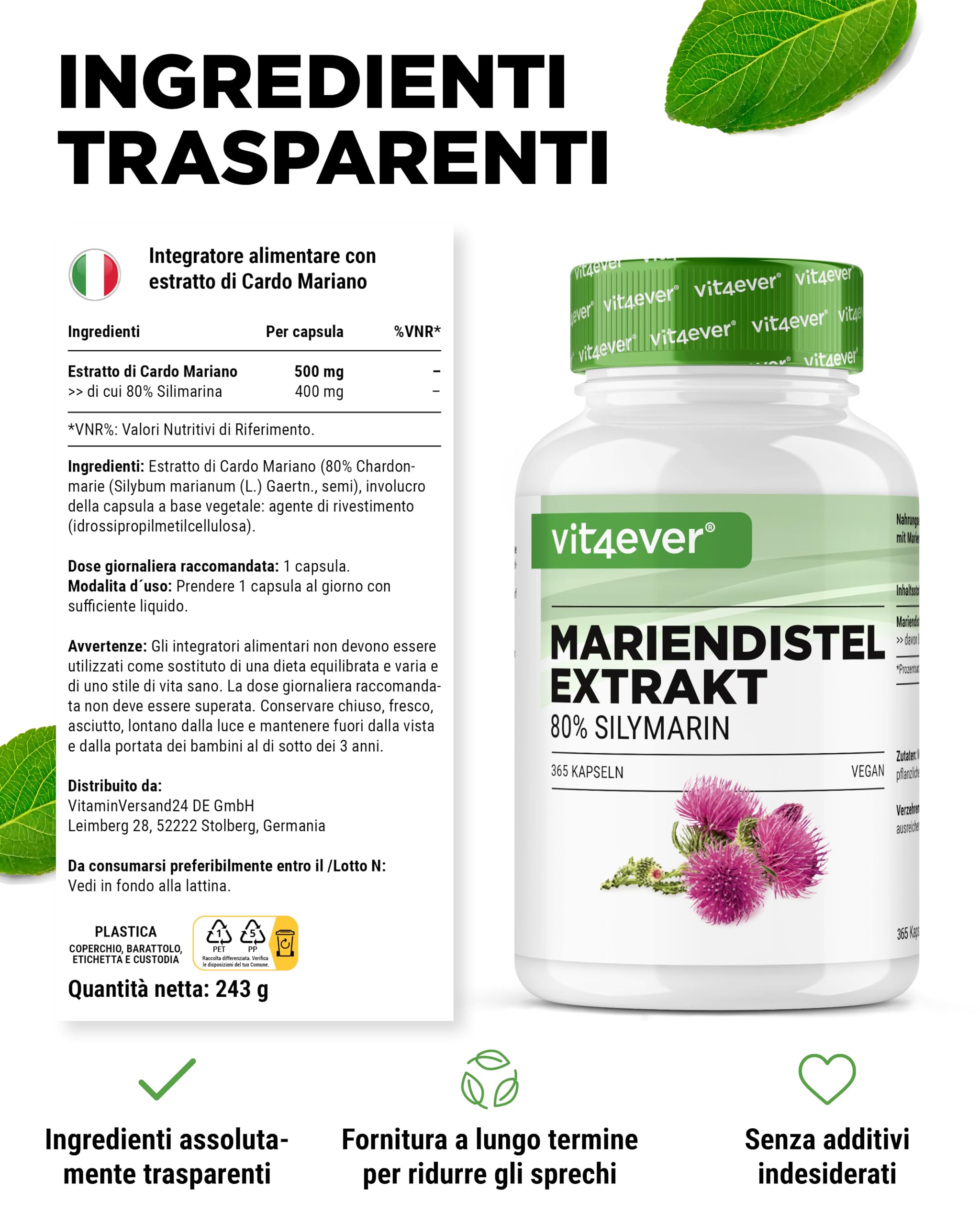 Estratto di cardo mariano 365 capsule da 500 mg ciascuna - contenuto di silimarina all'80% - fornitura per 12 mesi - dosaggio elevato - vegano