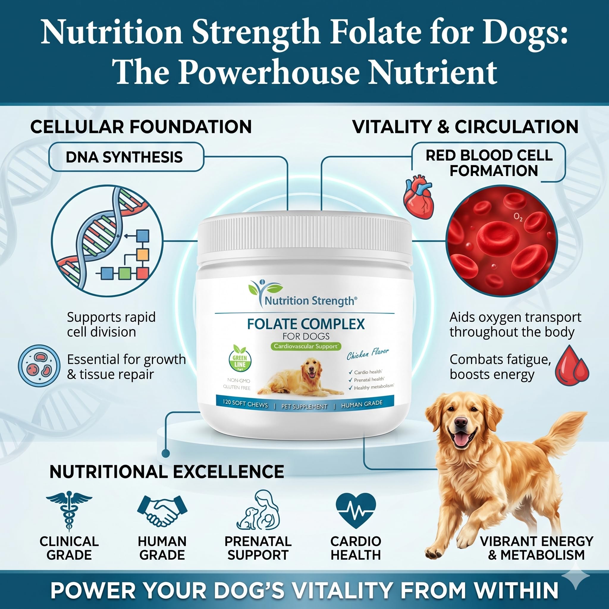 Folate for Dogs to Promote Cardiovascular & Prenatal Health, Support DNA Synthesis & Cell Maintenance, Folic Acid for Dogs with Zinc, Biotin, Iron & Vitamin B12, 120 Soft Chews — Amazon image 2