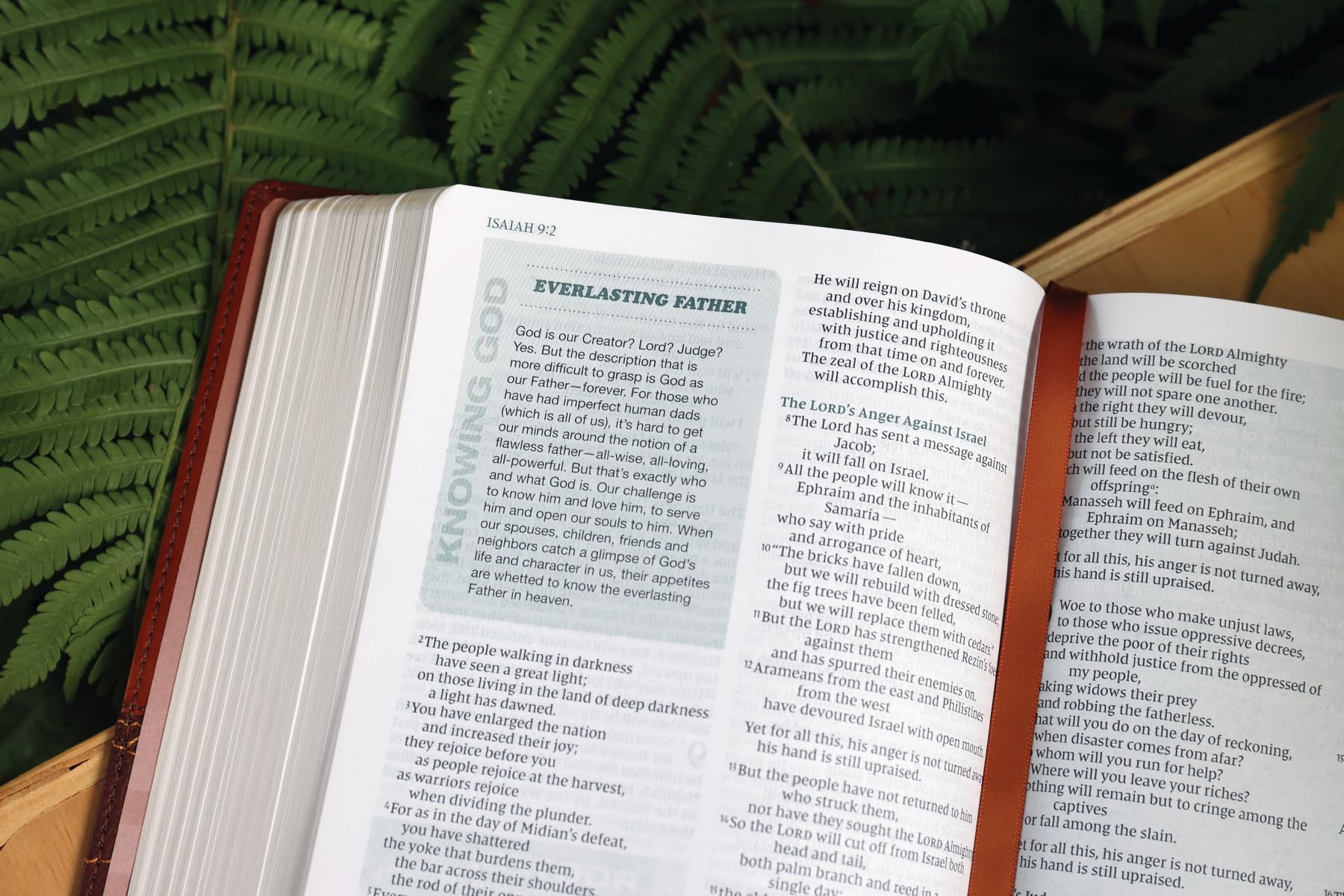 Rooted: The NIV Bible for Men, Leathersoft, Brown, Comfort Print: Shaping Men for Faithful Living in Today’s World