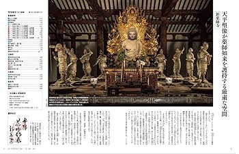 隔週刊 古寺行こう(17) 新 薬師寺 2022年 10/25 号 [雑誌