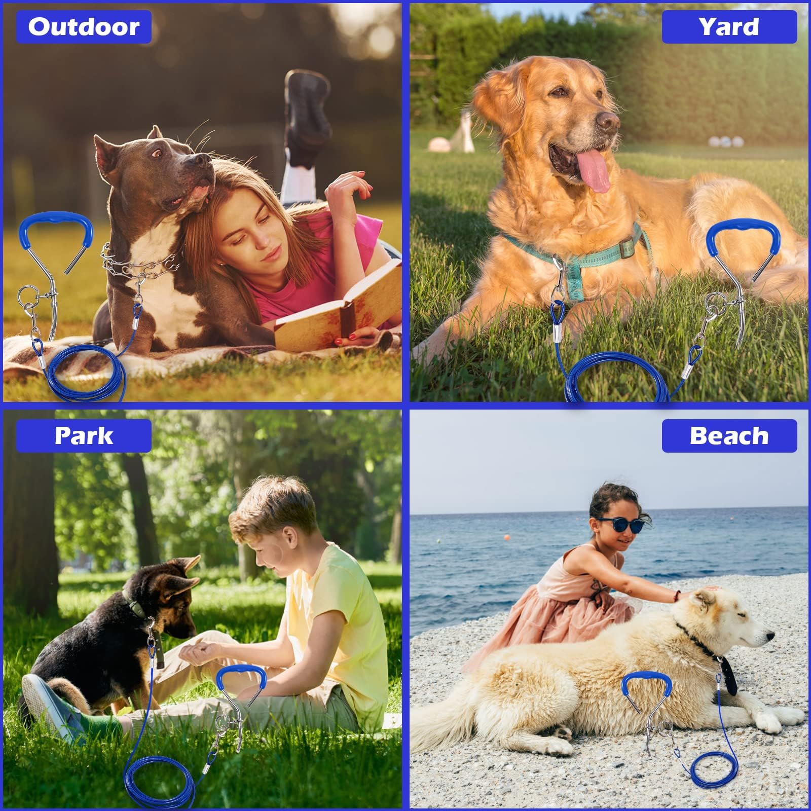 Ancrage en spirale bleu de 40 cm avec câble en acier de 5 mm x 3 m - Ancrage au sol à visser - Force de traction 80 kg - Pour chiots, animaux domestiques et chiens de taille moyenne - Accessoire pour
