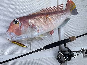  peak 10個セット チタニウムスポーク 緑 snow peak 10個セット チタニウムスポーク 緑 snow peak 10個