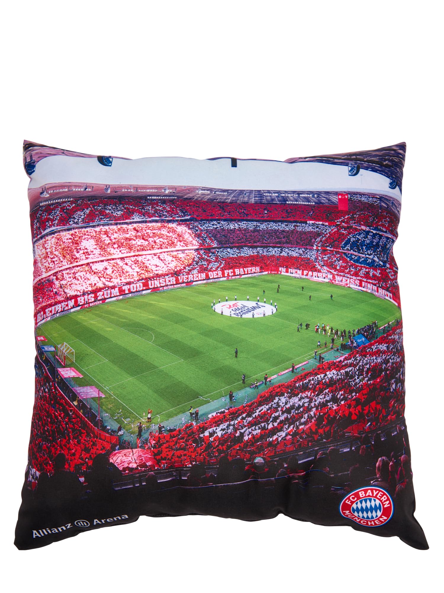 FC Bayern München I Kissen Arena I Mehrfarbig