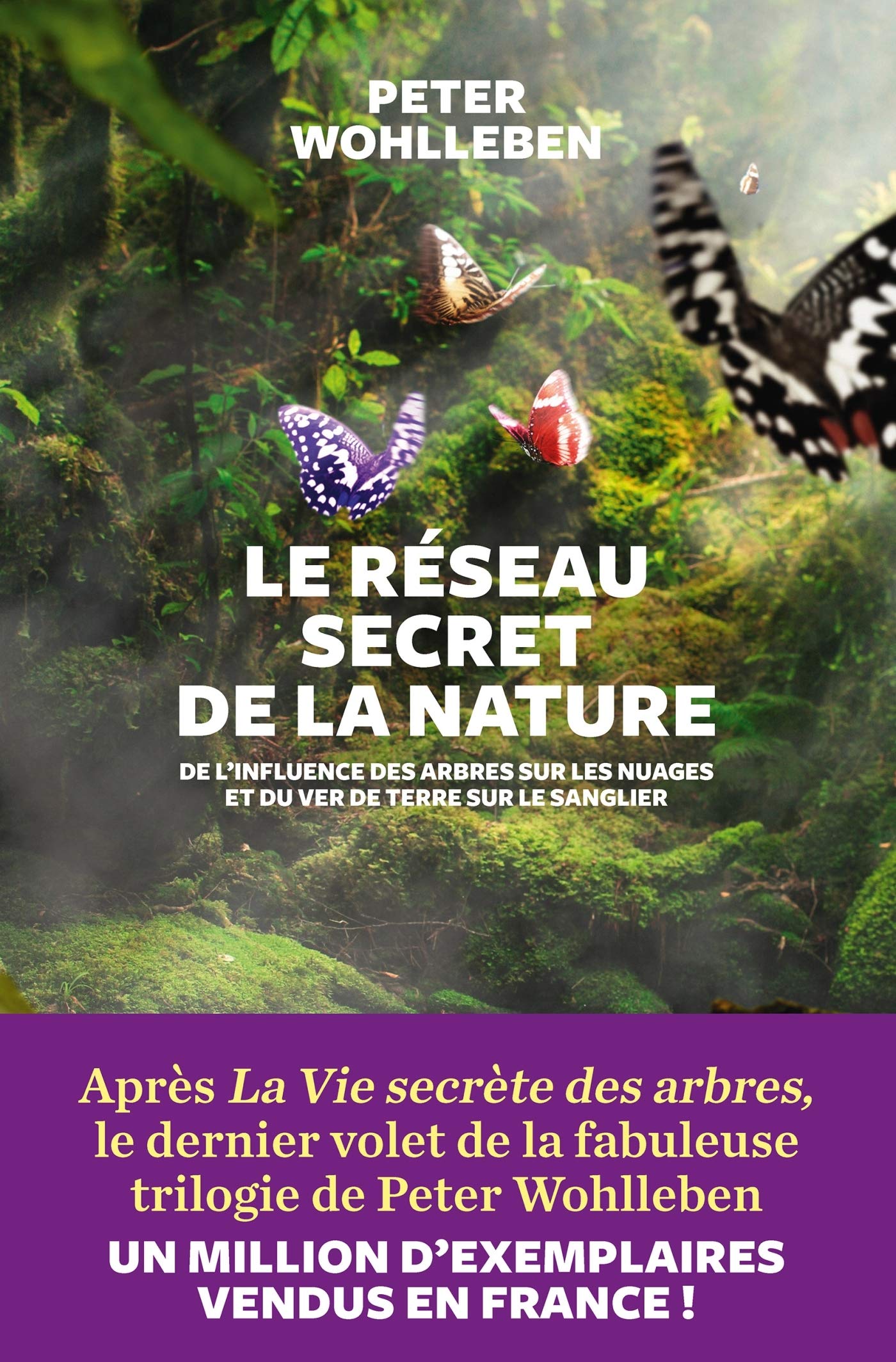 Le Réseau secret de la nature: De l'influence des arbres sur les nuages et du ver de terre sur le sanglier