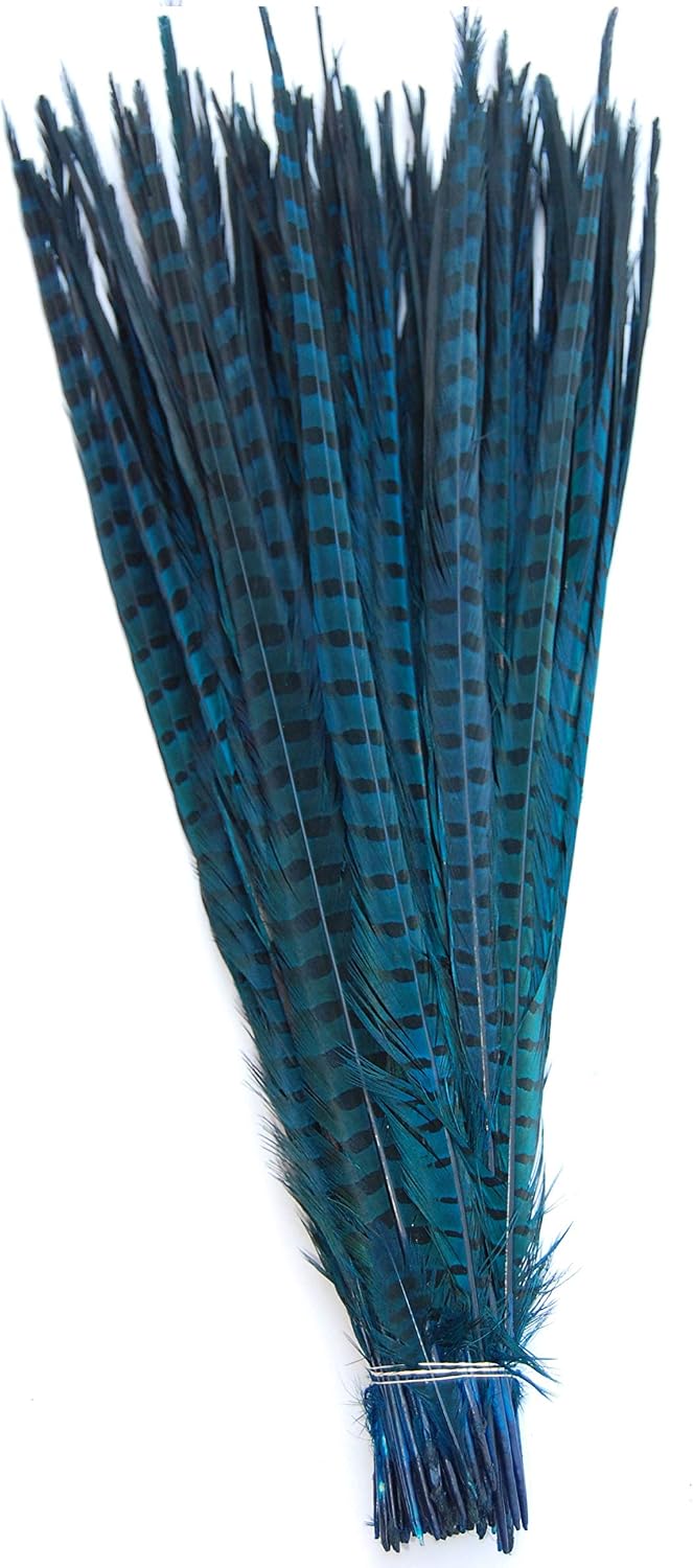 Long English Ringneck PHEASANT Feathers/Tails 20-26 Inches Assorted Turquoise in Color