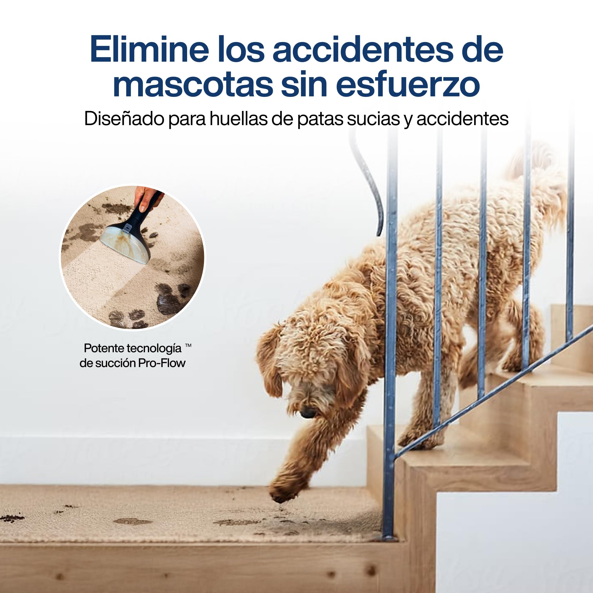 Samako PowerClean Pro 2000W, Limpiador de Alfombras y Tapicerías con Vapor, 8 Accesorios, Grandes Depósitos de Agua, Limpia Sofás, Colchones y Asientos
