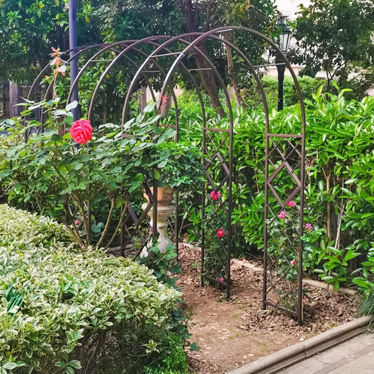 Arco de enrejado de rosas de metal galvanizado resistente, arco de jardín resistente para plantas trepadoras y rosas, diseño independiente, 55 x 90 pulgadas, marrón, perfecto para paisajismo de jardín
